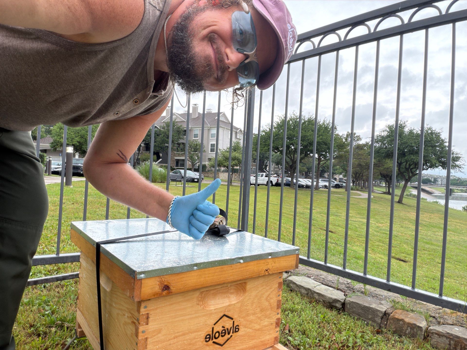 Poolside Bees at Apartment Complex by Rockwall Honey Bee Company