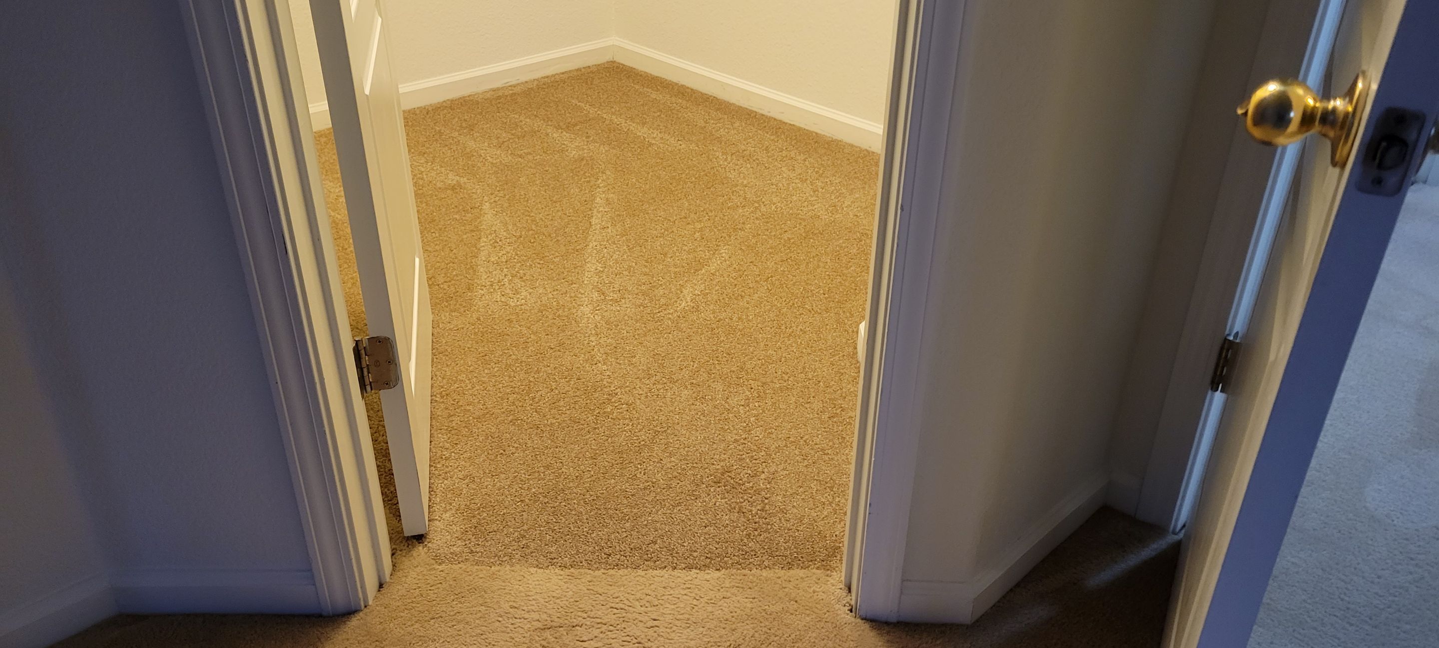 Sectioning Out a Failed Dye Attempt by Ardent Carpet Restore LLC