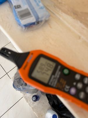 Mold Test