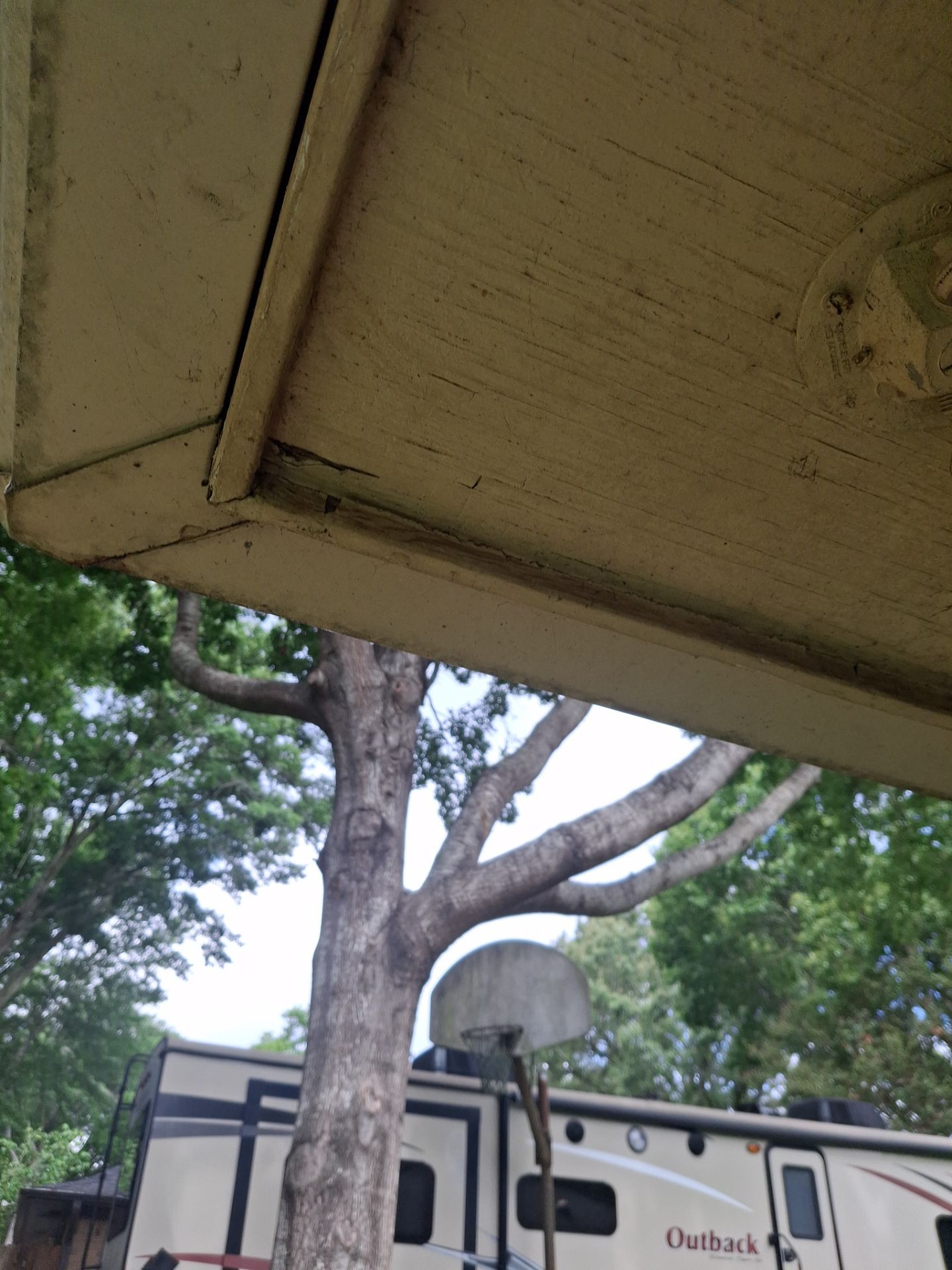 From Prep to Perfect Finish by Quality Coats Painting