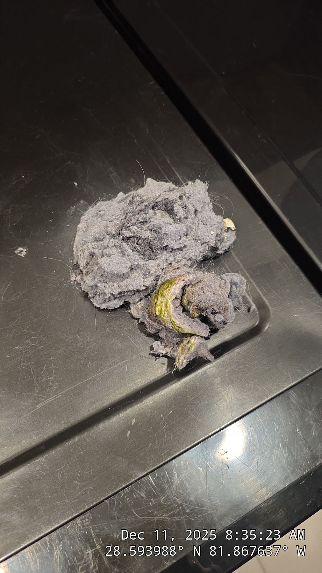 Dryer Vent Cleaning in Groveland by Hygienic Air, Inc