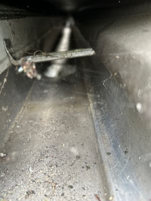 Turtle Shell gutter protection installation in Naperville, IL 60565, photograph 2