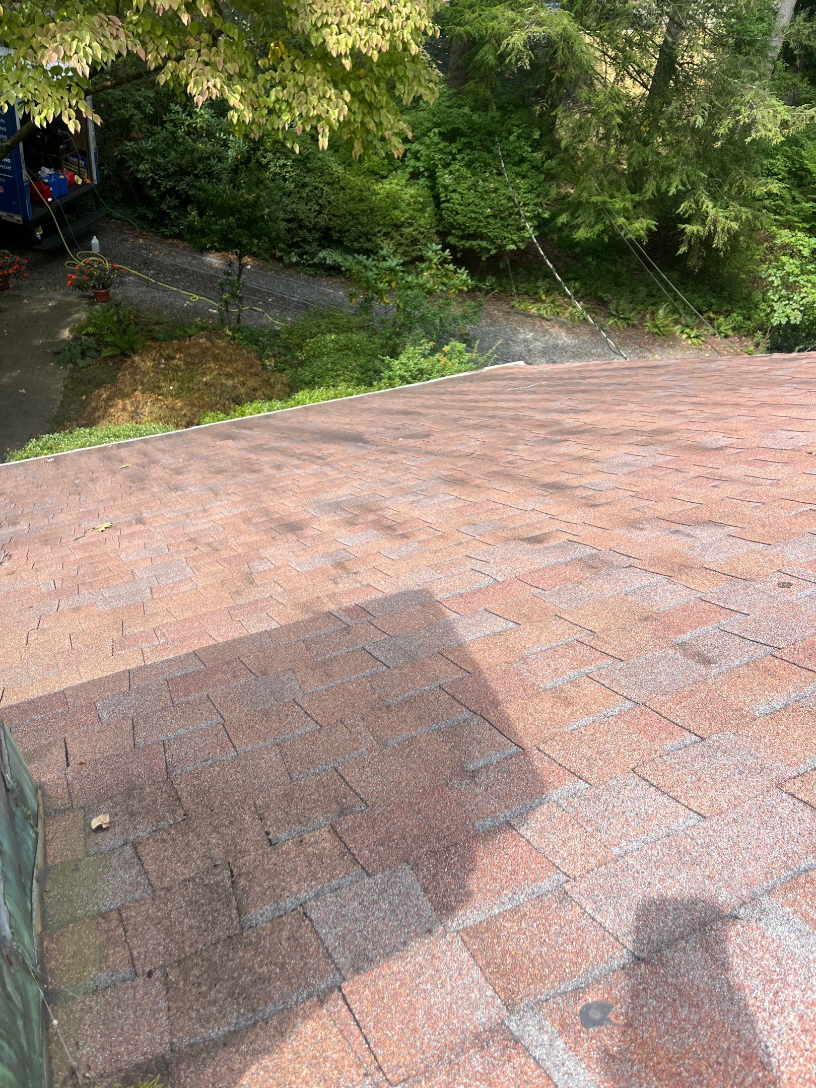 Roof Cleaning in Lincroft, NJ by Clearview Washing