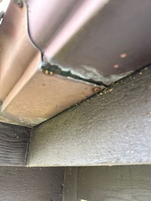 Turtle Shell gutter protection installation in Naperville, IL 60563, photograph 26