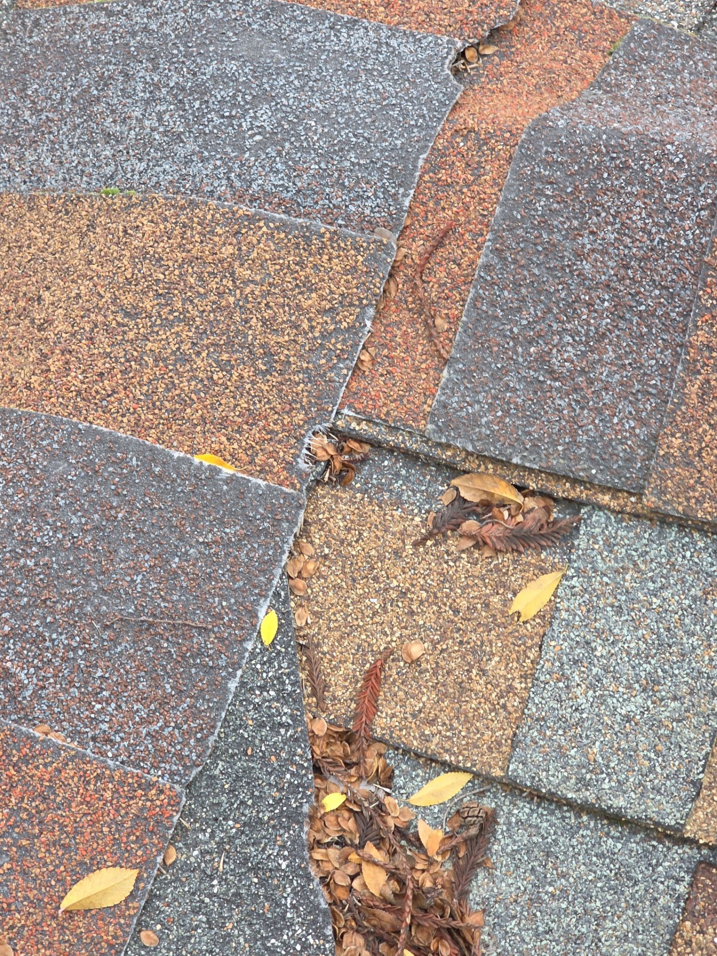 Roof Rejuvenation using Roof Maxx Treatment by Roof Maxx of Folsom