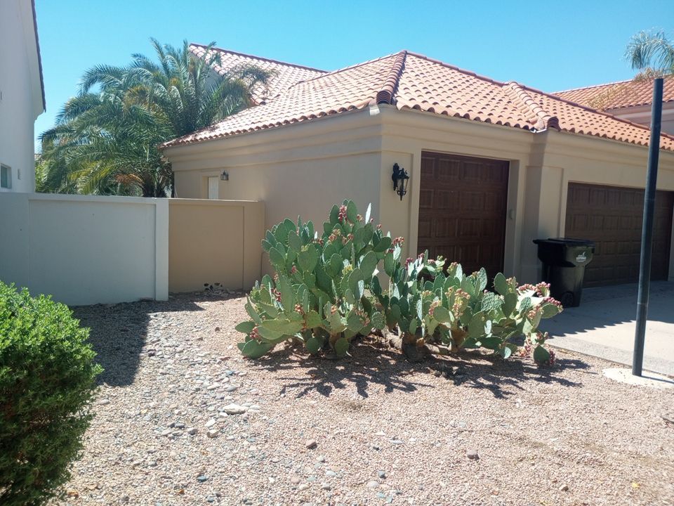 Exterior Painting Job in Scottsdale by Crash of Rhinos Painting & Garage Floors