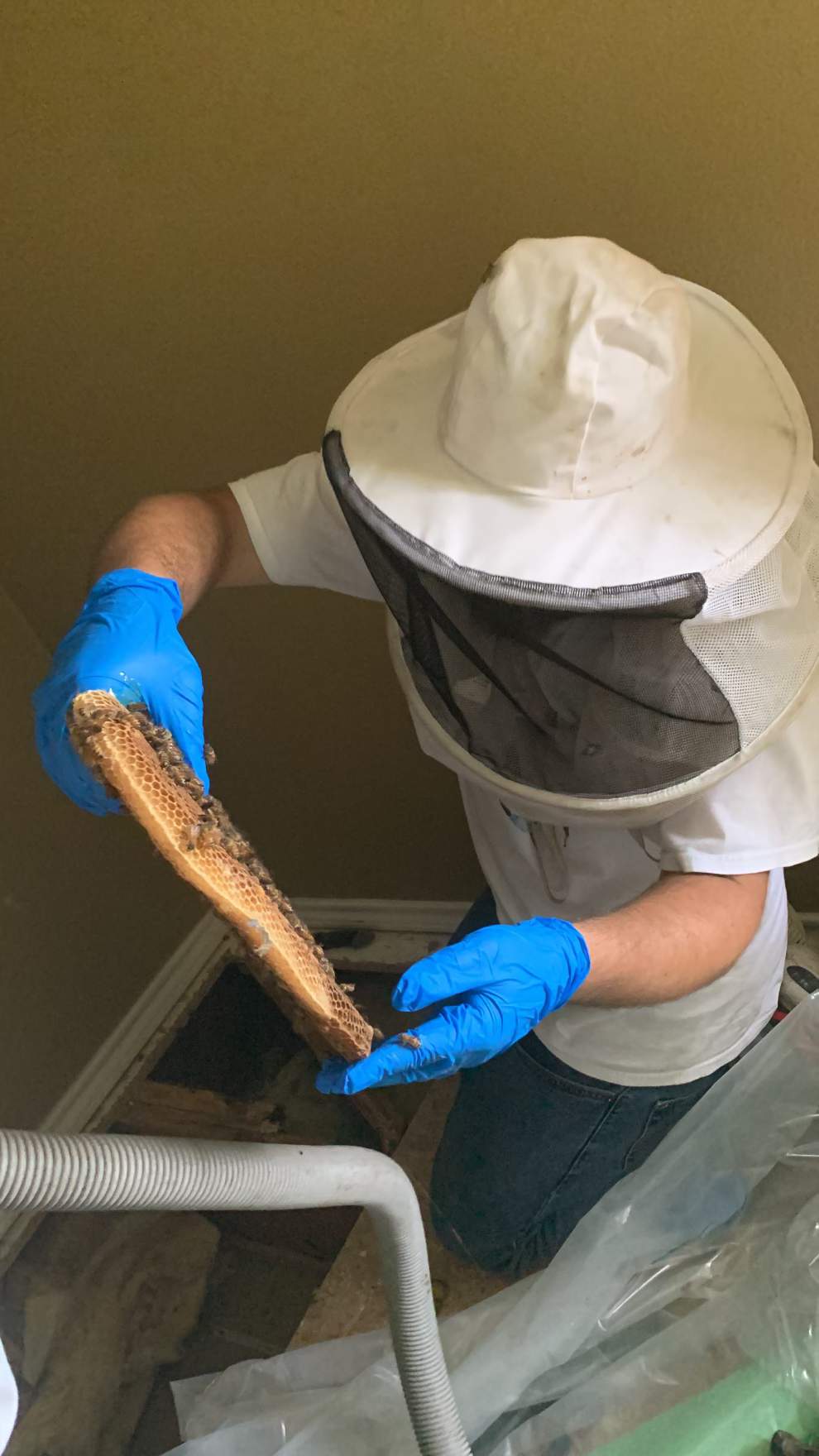 Beekeepers-to-be by Rockwall Honey Bee Company