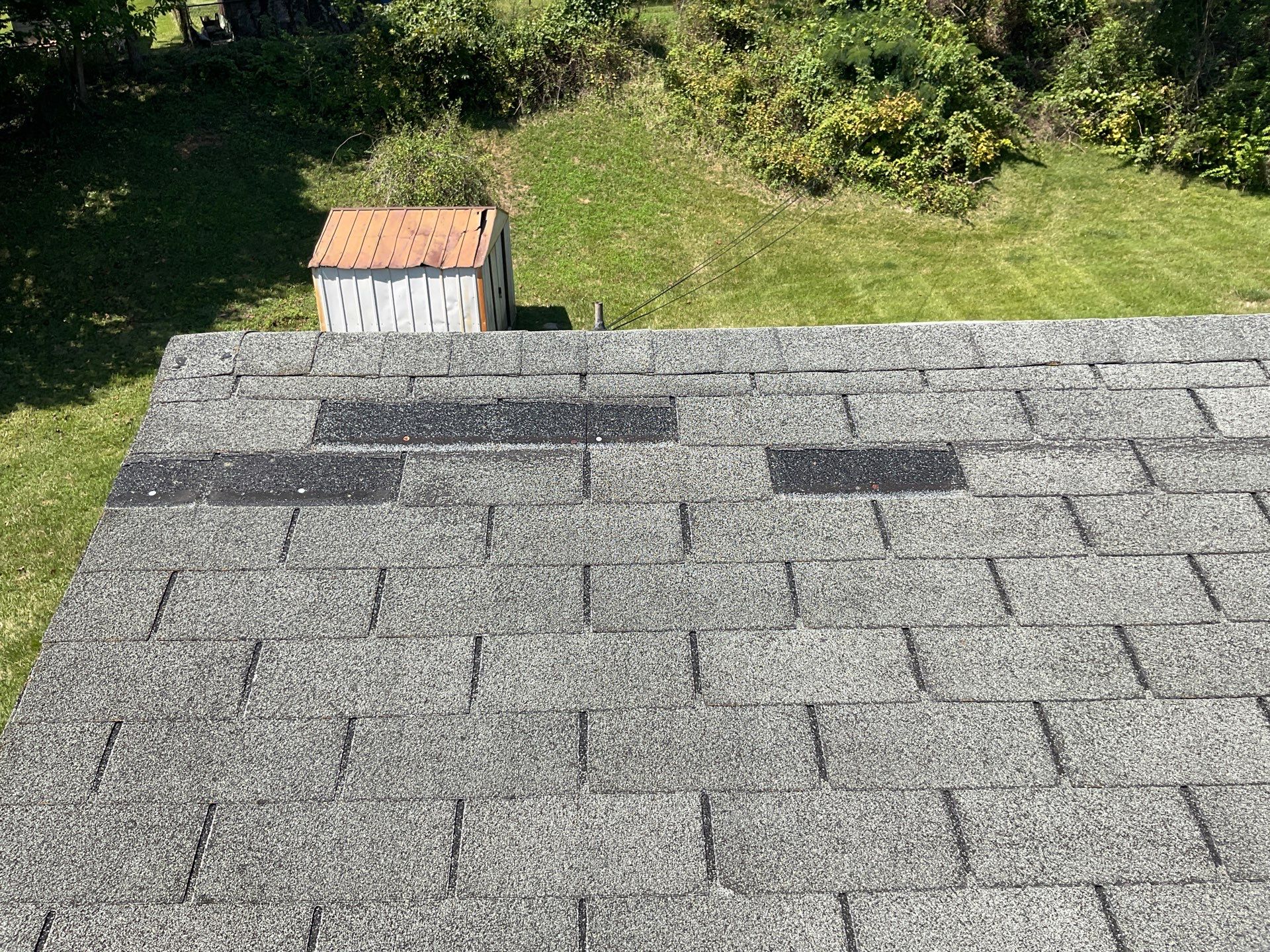 New Shingle Roof by Alpha Design Services