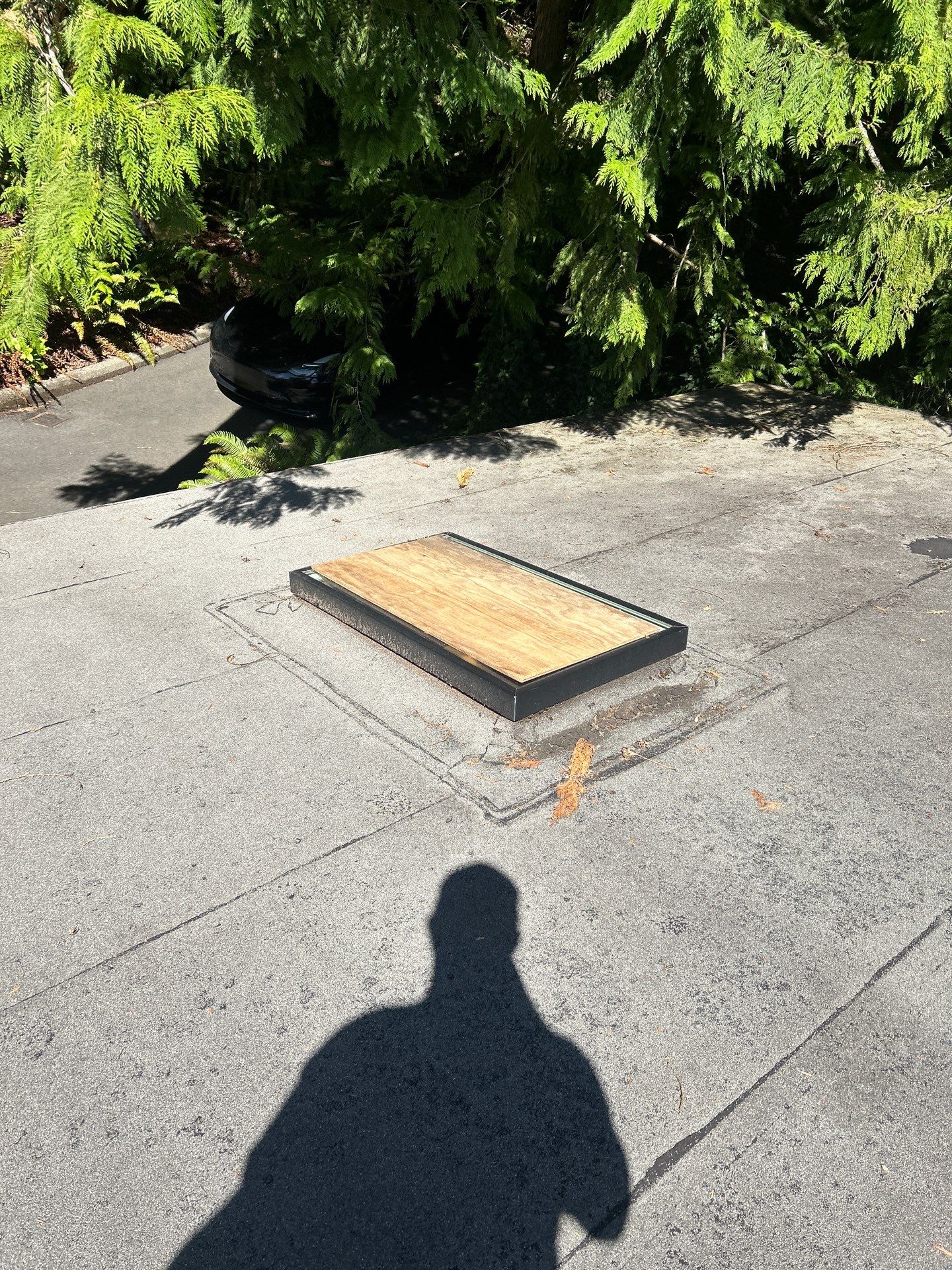 Project in Seattle by Peaks and Valleys Construction