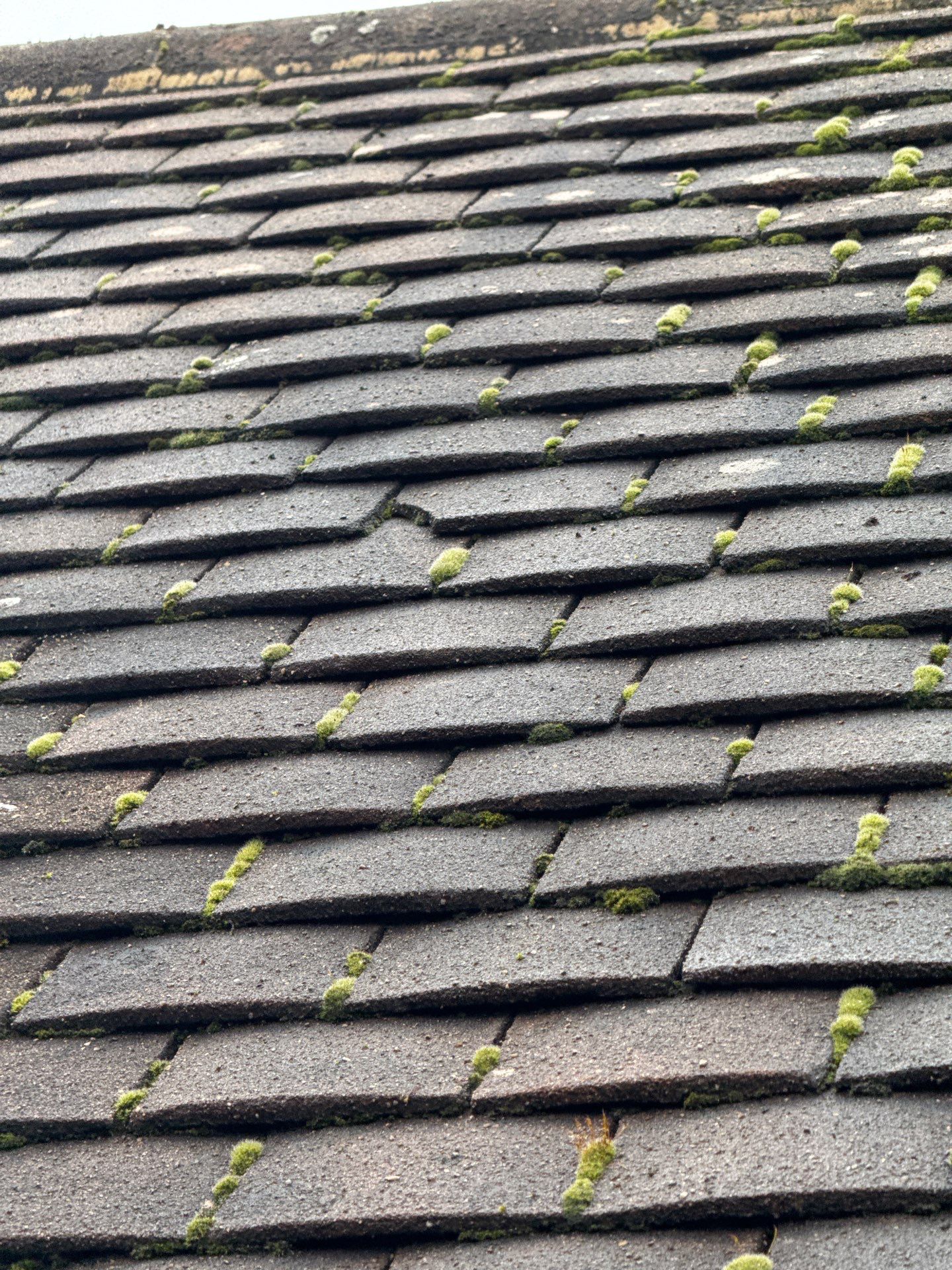 Roof and Patio Cleaning using Honda 15lpm Low Pressure Washing Machine by Ges Exterior Cleaning ltd