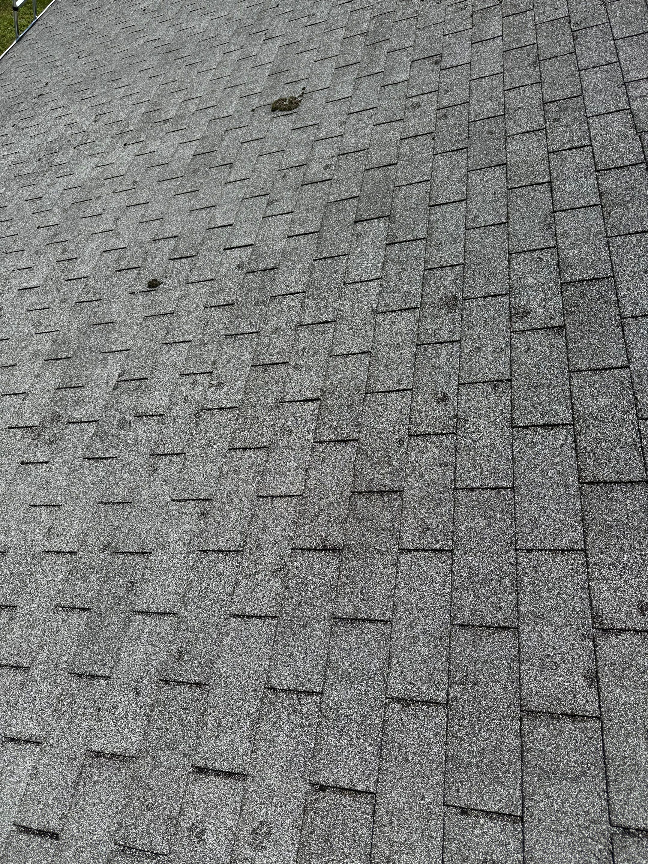 Onyx Black Roof Transformation in Maynard, MA by Mighty Dog Roofing of Greater Middlesex County