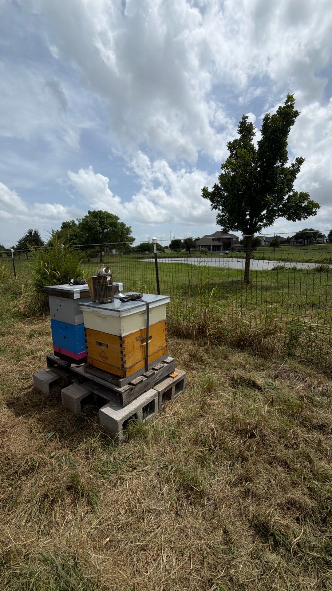 Porter & Pony Apiary by Rockwall Honey Bee Company
