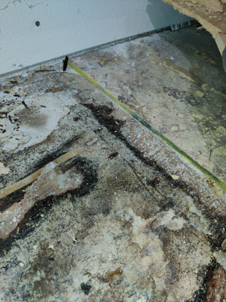 Mold Remediation using Containment by Accountable Home Services