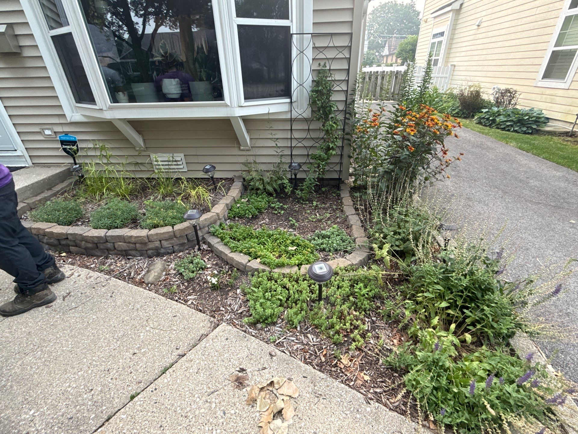Allison C. - Arlington Heights, IL by A&N