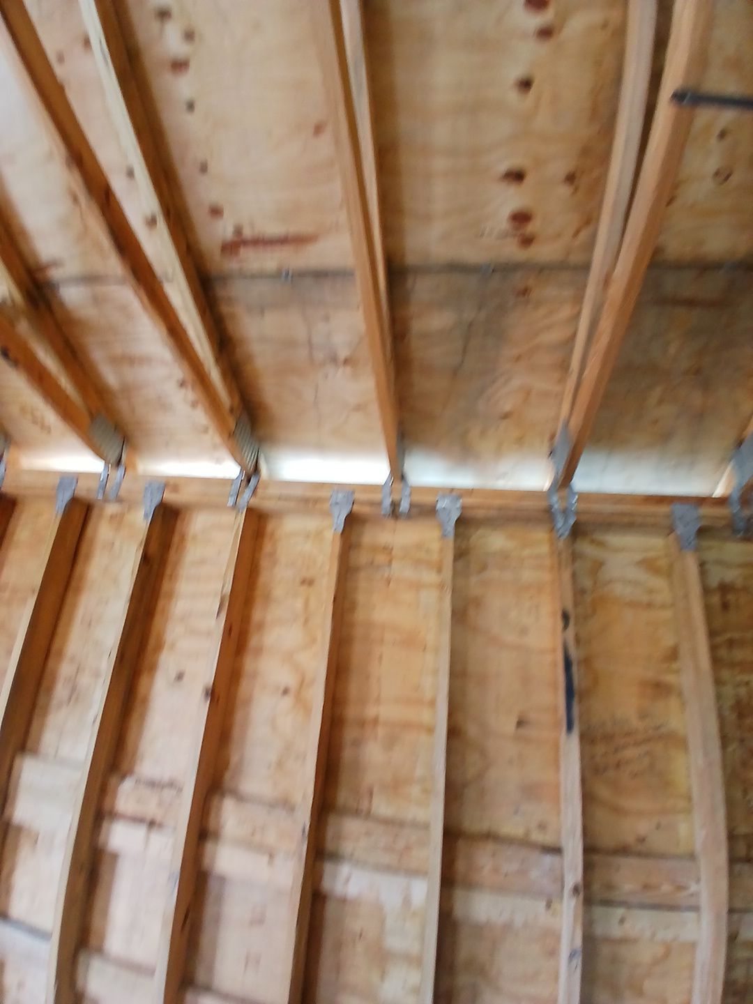 Anna Maria Mold Remediation by Ampm Restoration Services