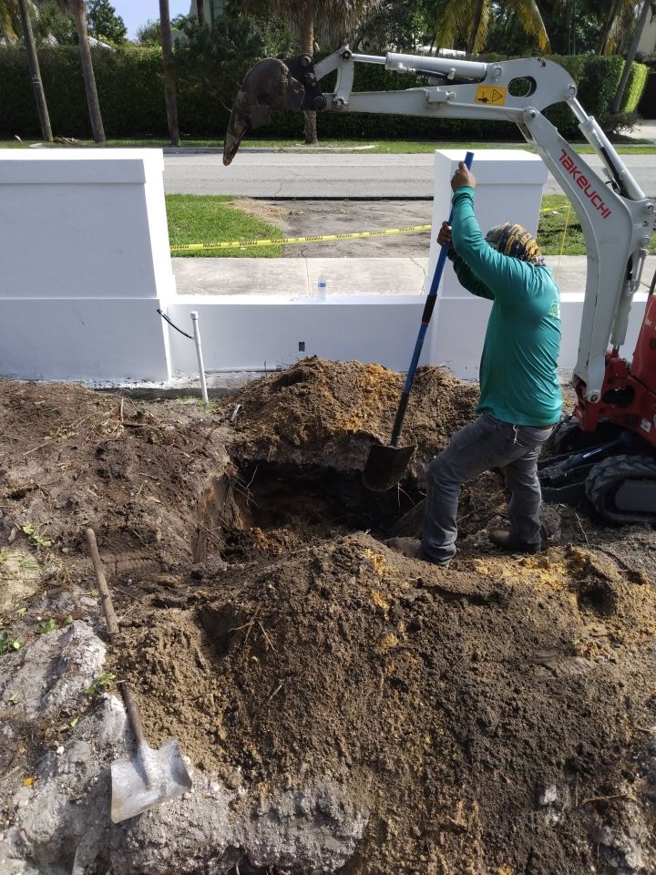 Hazard  by The Landscaping People