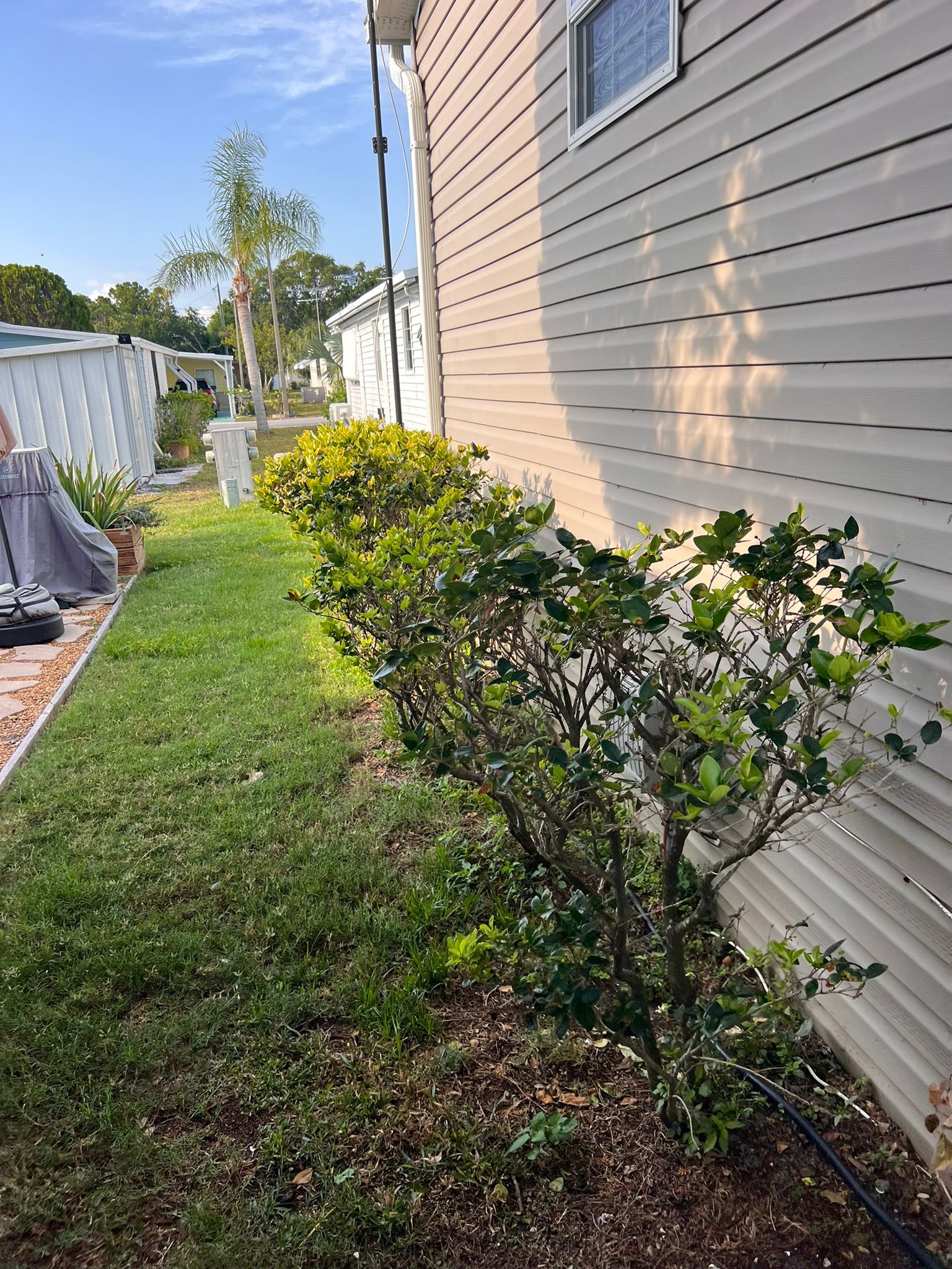Project in Largo 33771 by Mitchell Roofing Company LLC 