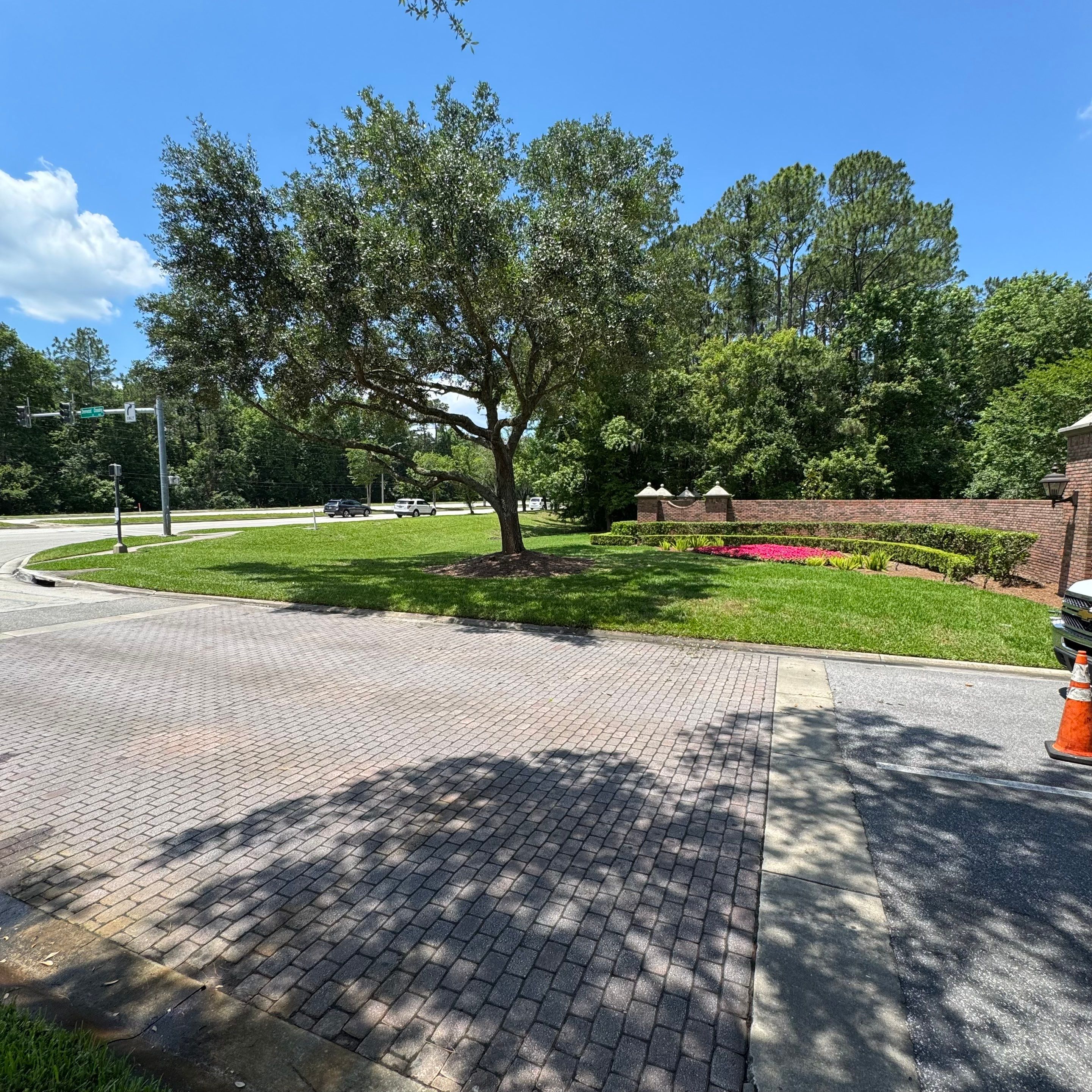 Deerwood Community | Tree Work by ProGreen Services