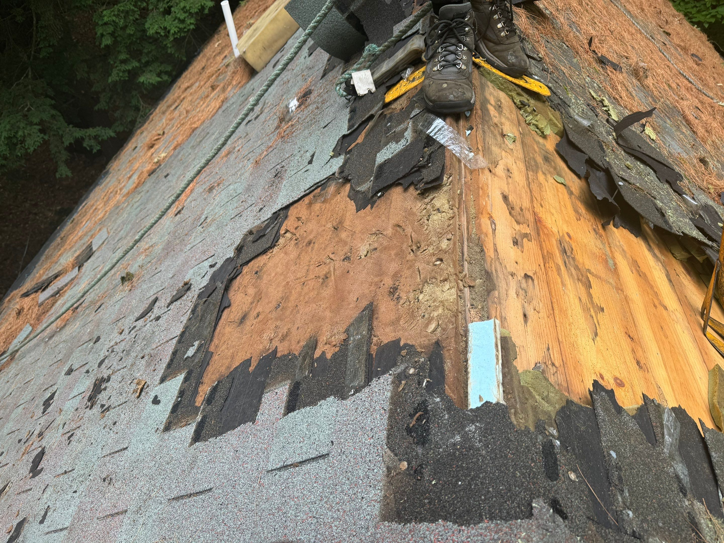 New Roof in Sanbornville, NH by Tall pine roofing