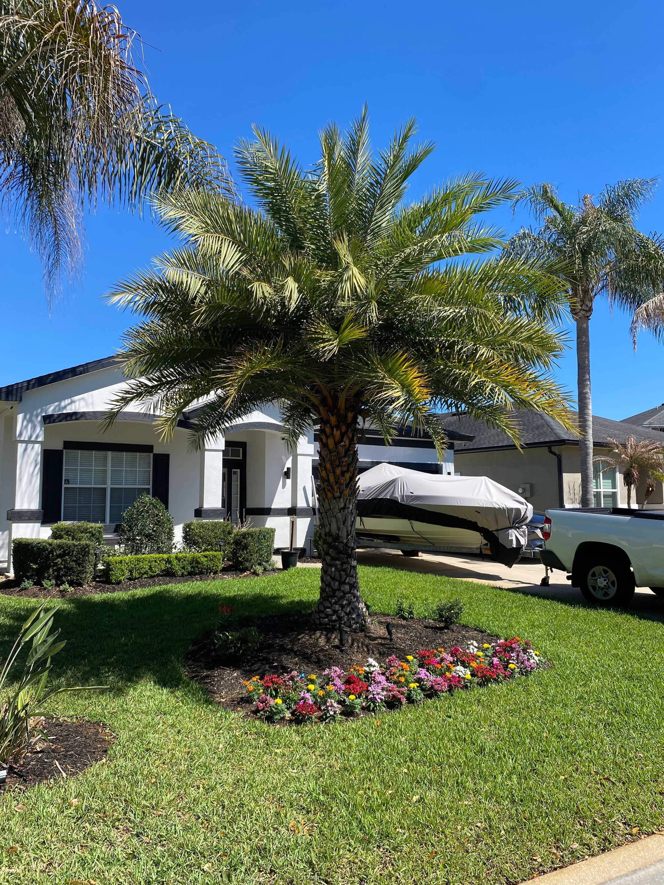 Residential | Tree Service by ProGreen Services