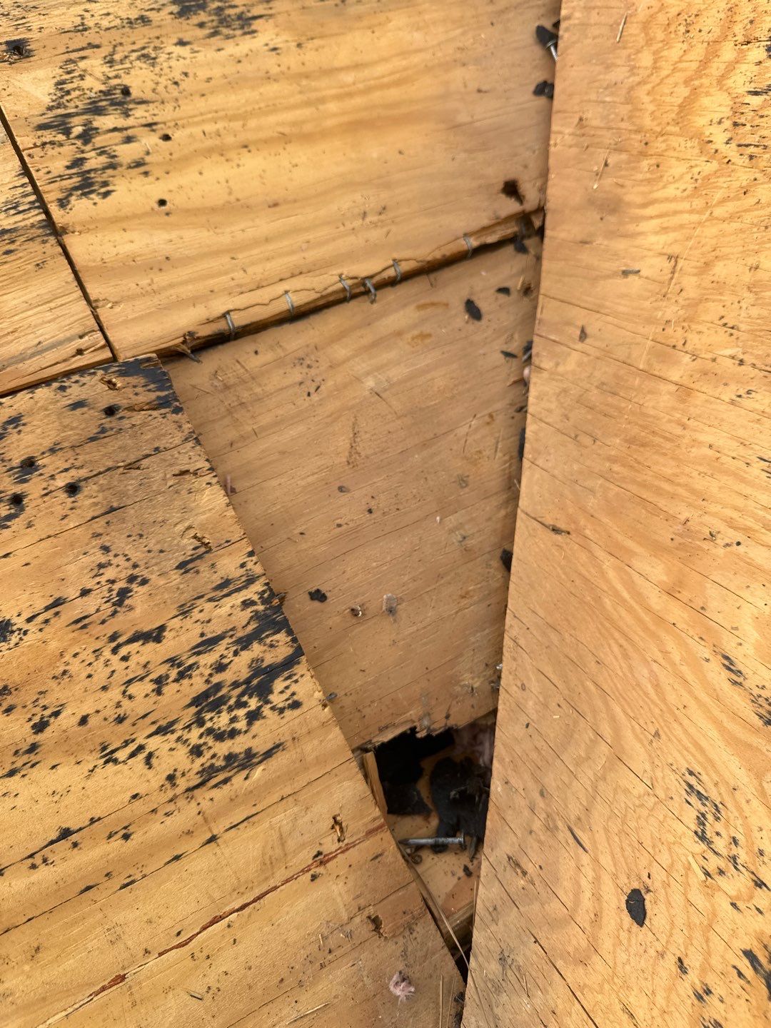 Roof Replacement Houston by Roof Repair Company