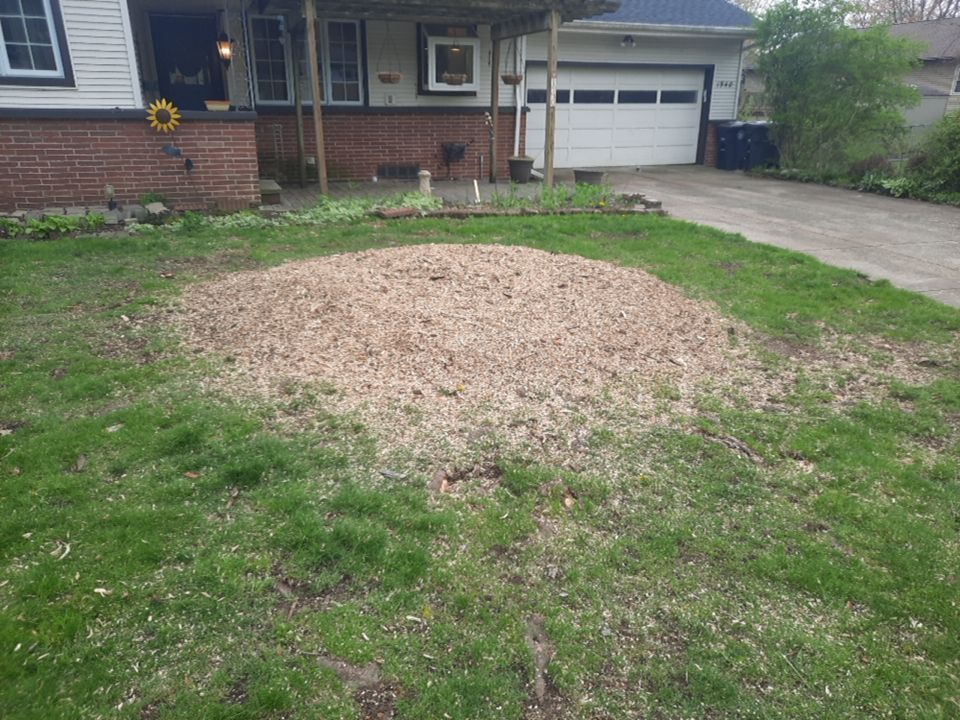 Tree Removal using Tree Removal by Mike Jones & Sons Tree Service LLC 