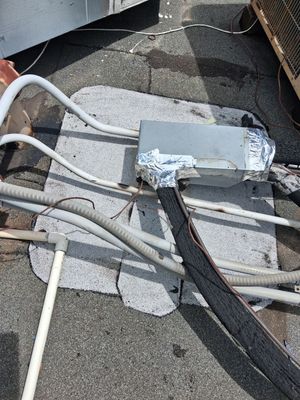 Project in Houston
