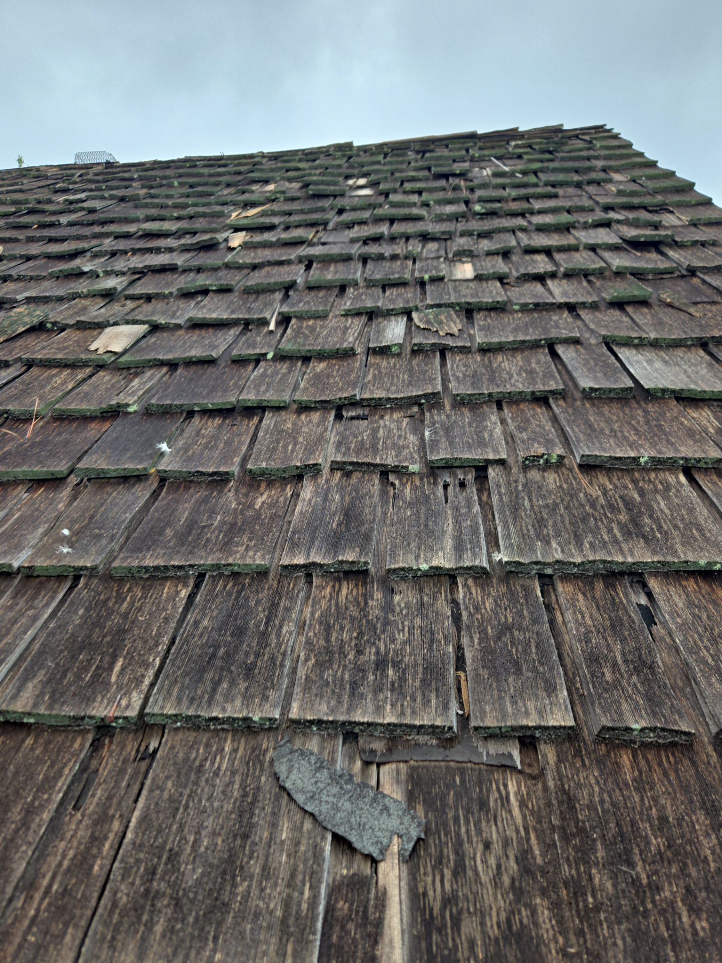 Asphalt Roof Replacement in Dadeville by NANOROOF Alabama