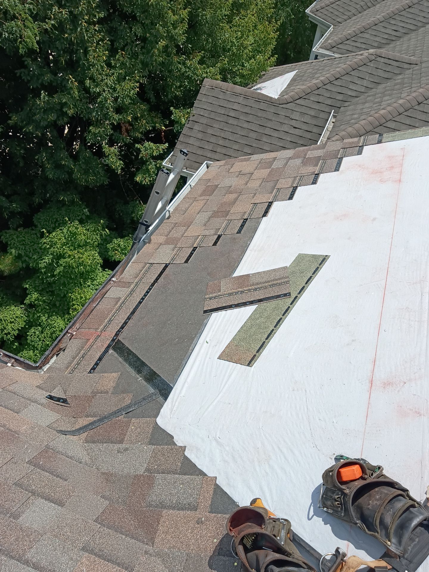 Architectural Asphalt Shingle Roof Replacement in Lisle by Pro Home Services Inc