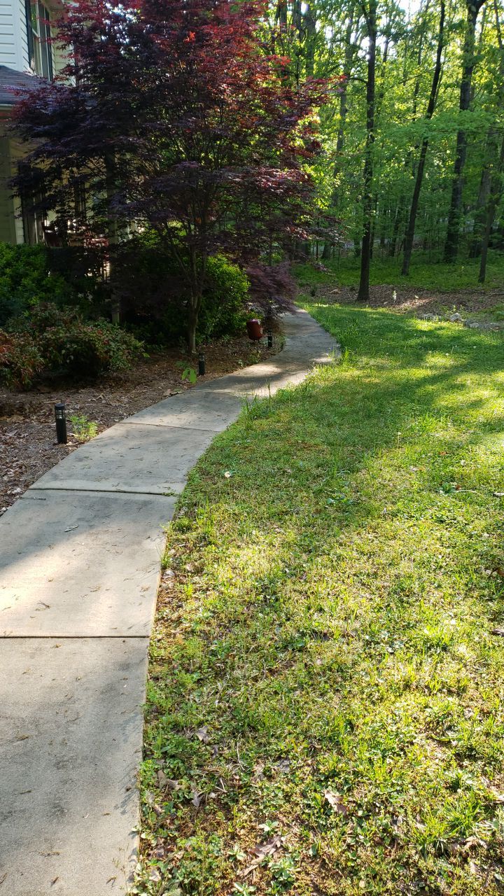 House Wash using cleaner by Power Wash Masters LLC