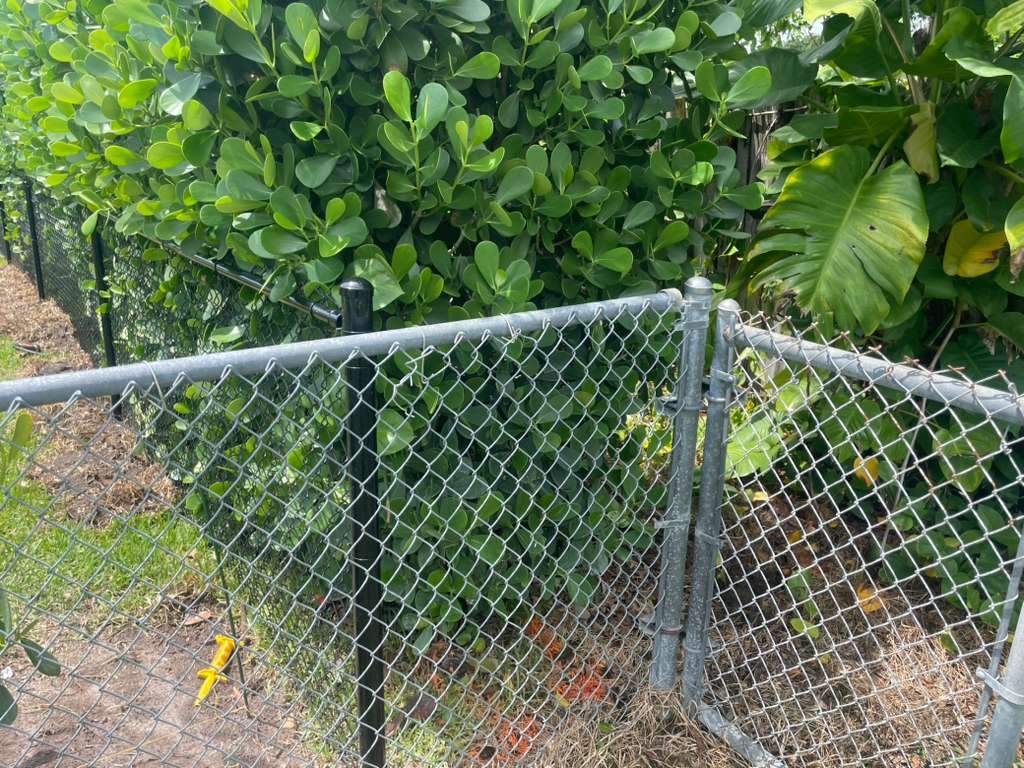 Residential Chain Link Fence Repair and Vinyl Privacy Gate Installation in Naples by True Fence LLC