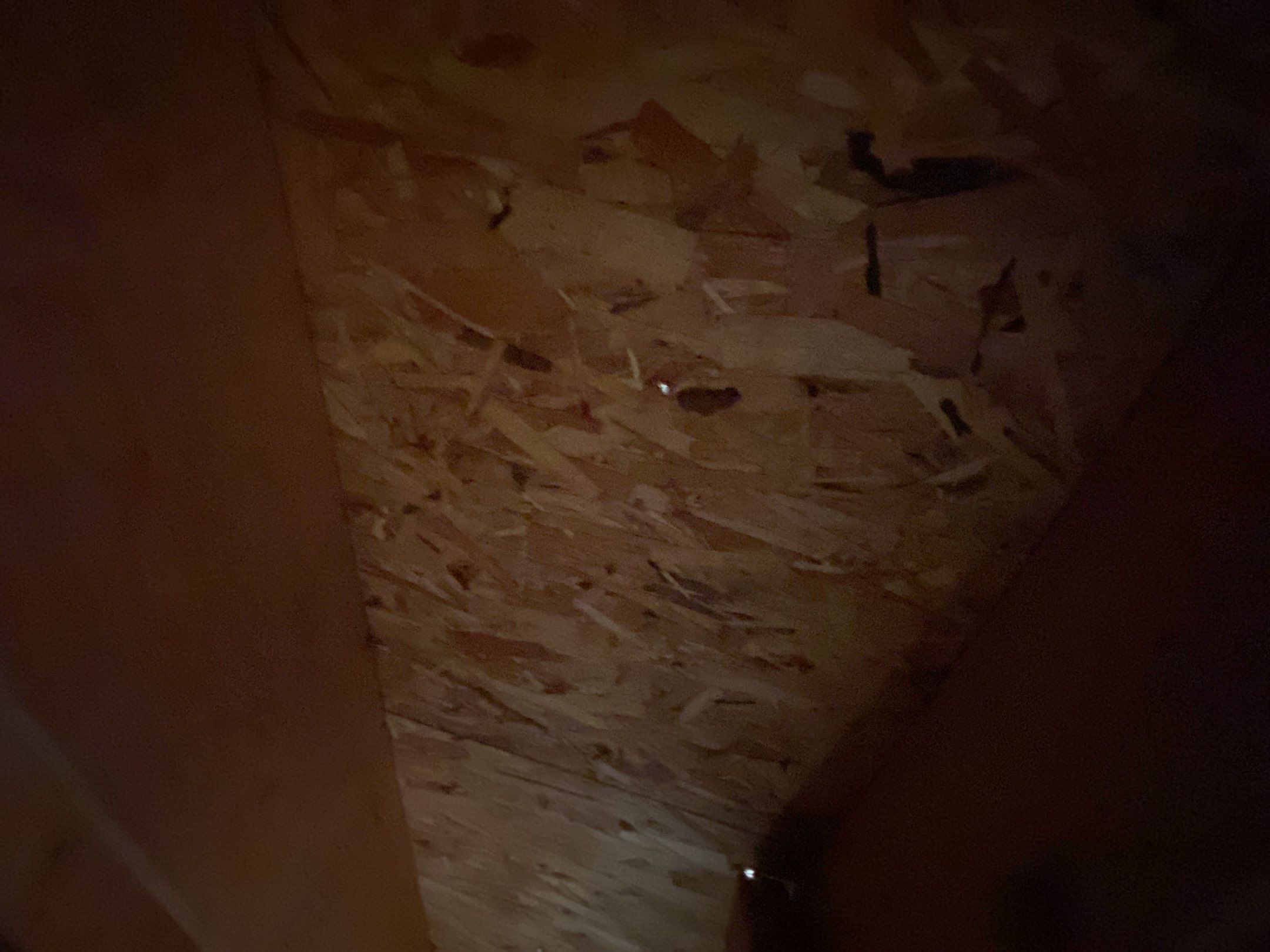 Roof Replacement using Owens Corning by 180 Contractors