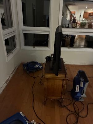 Mold Remediation — Marco Island, FL