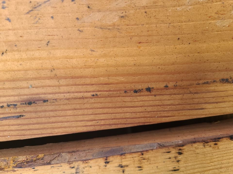 Arlington: CertainTeed Landmark Architectural Shingle in Georgetown Gray by RM Banning, Inc.