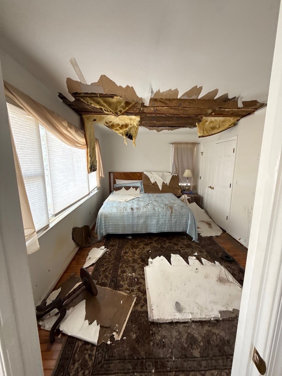 Large‑Loss Water Damage, Structural Drying & Mold Remediation – Rehoboth Beach, DE by Healthy Home Solutions