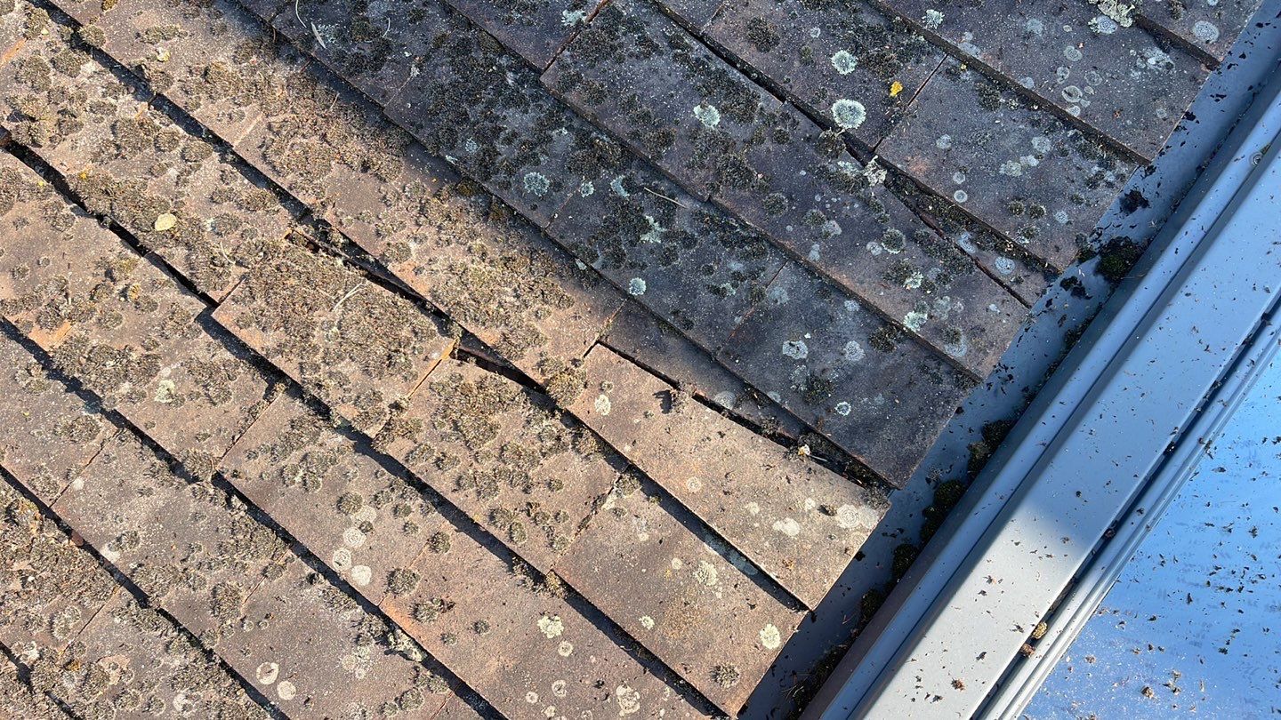 Roof Clean  - Moss Removal - Gutter Clean using Honda 15lpm Low Pressure Washing Machine by Ges Exterior Cleaning ltd
