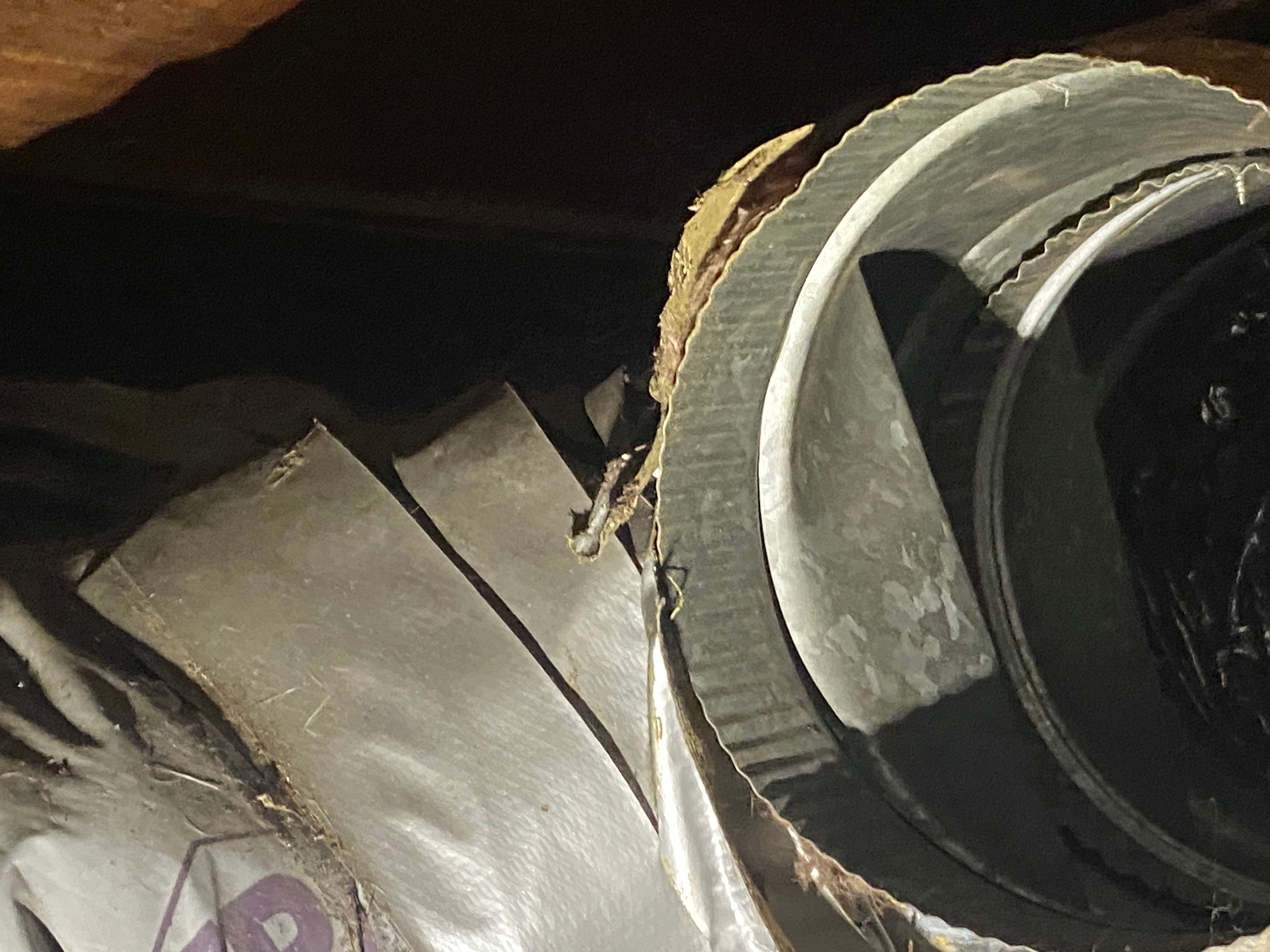 Crawlspace Transformation by Hausmeister Home Services INC