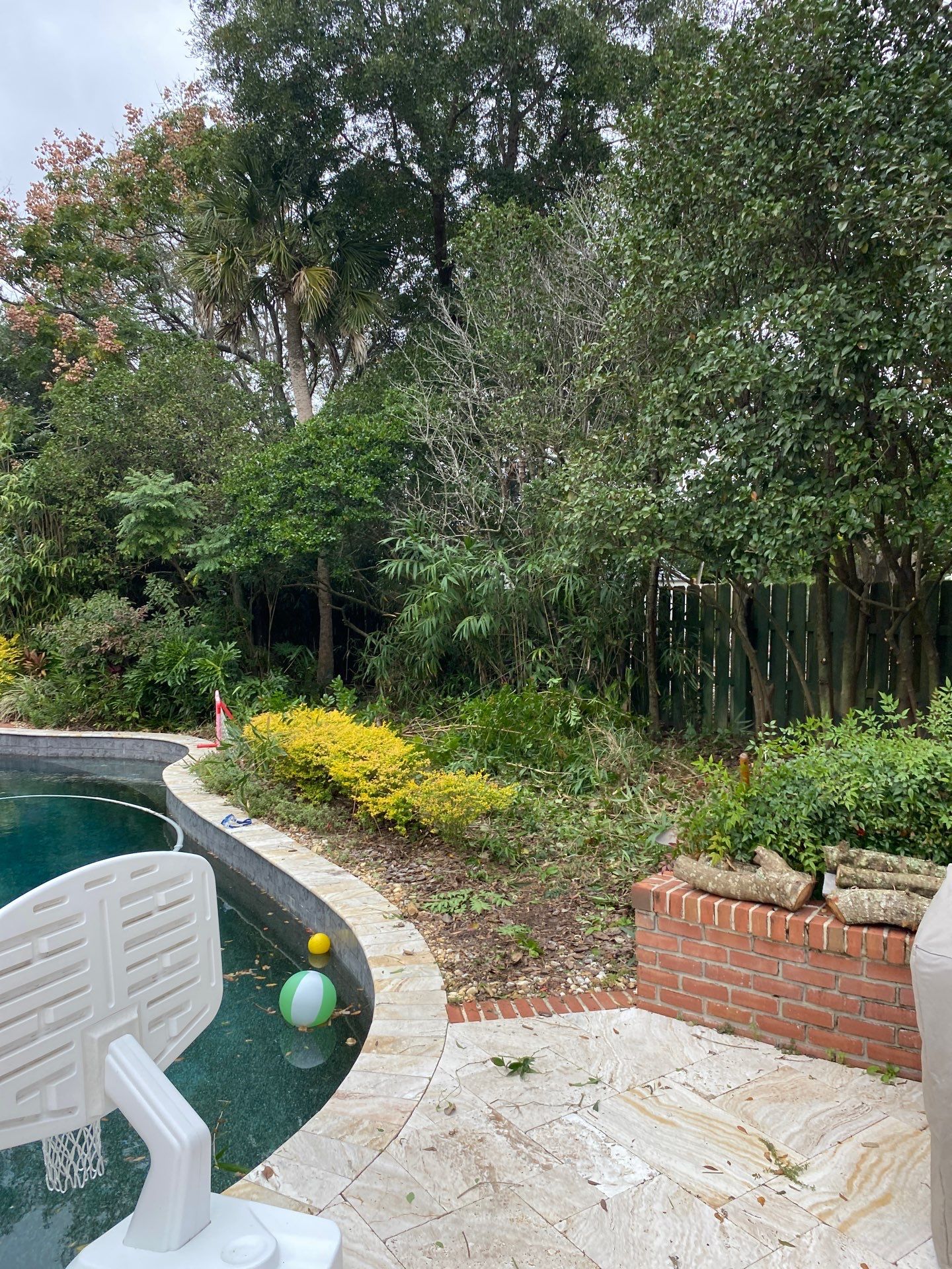 Deerwood Resident | Extreme Cleanup by ProGreen Services