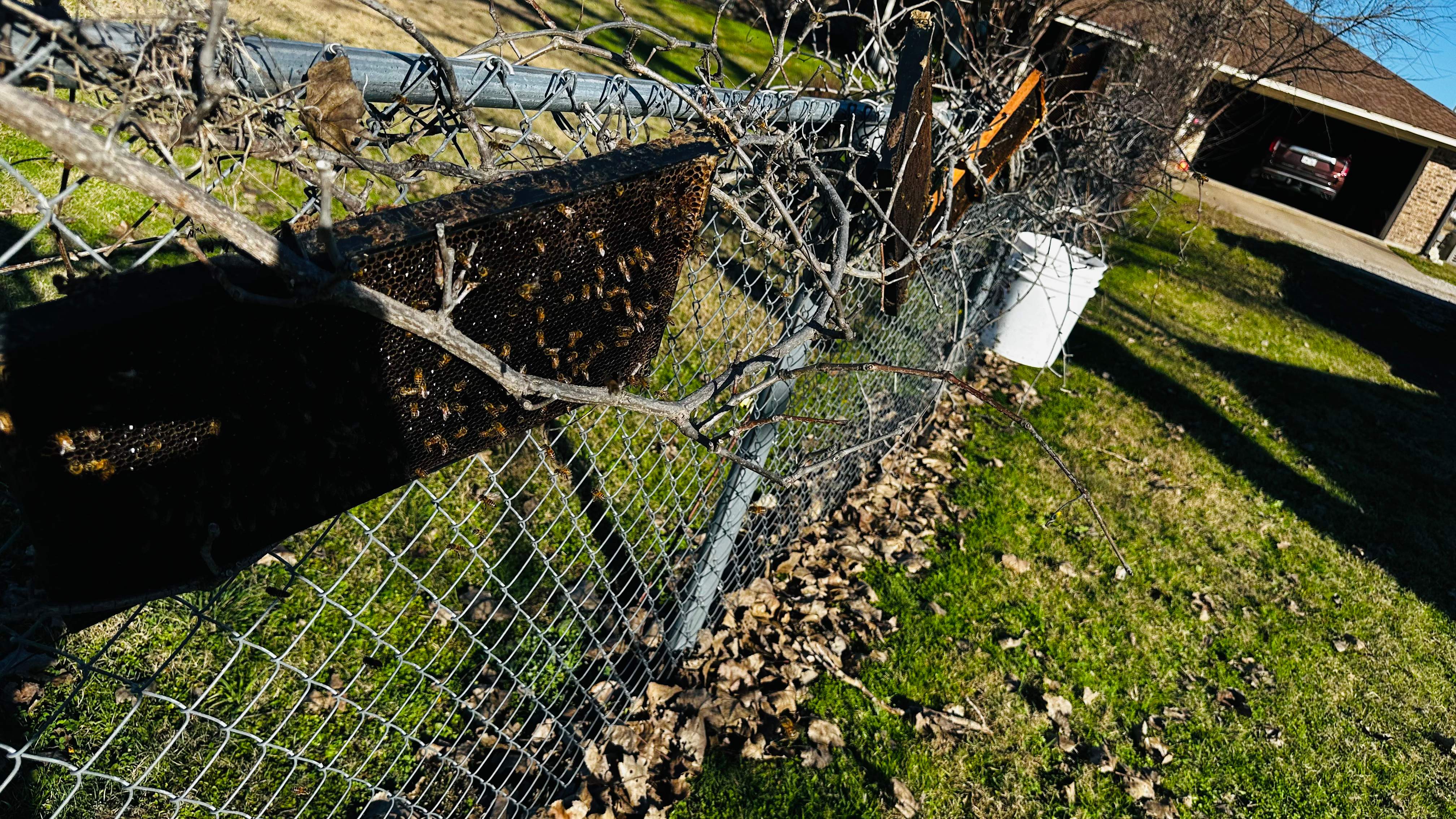 Rockwall Honey Bee Company HQ by Rockwall Honey Bee Company