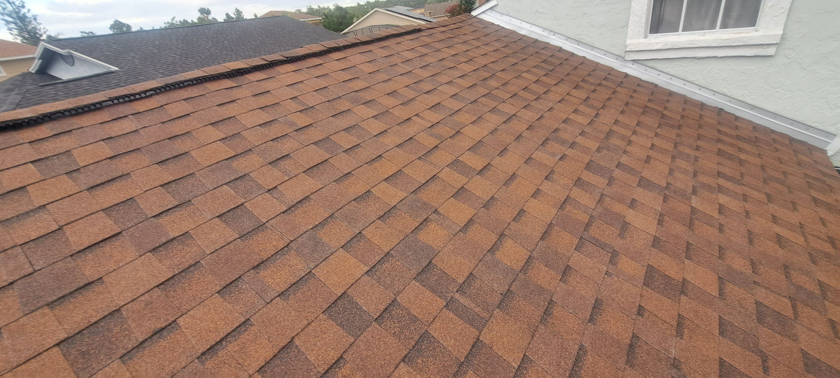 Shingle Reroof Replacement Kissimmee FL by Pinnacle Roofing Group