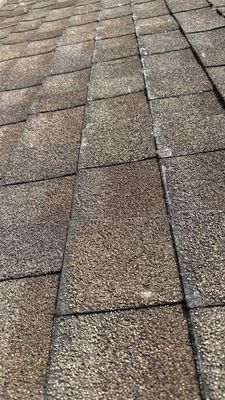 Turtle Shell gutter protection installation in Naperville, IL 60563, photograph 12
