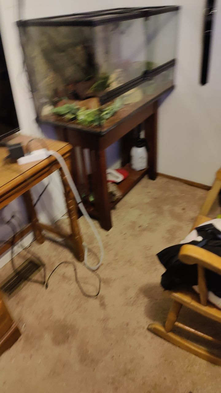 Water Damage  by Accountable Home Services