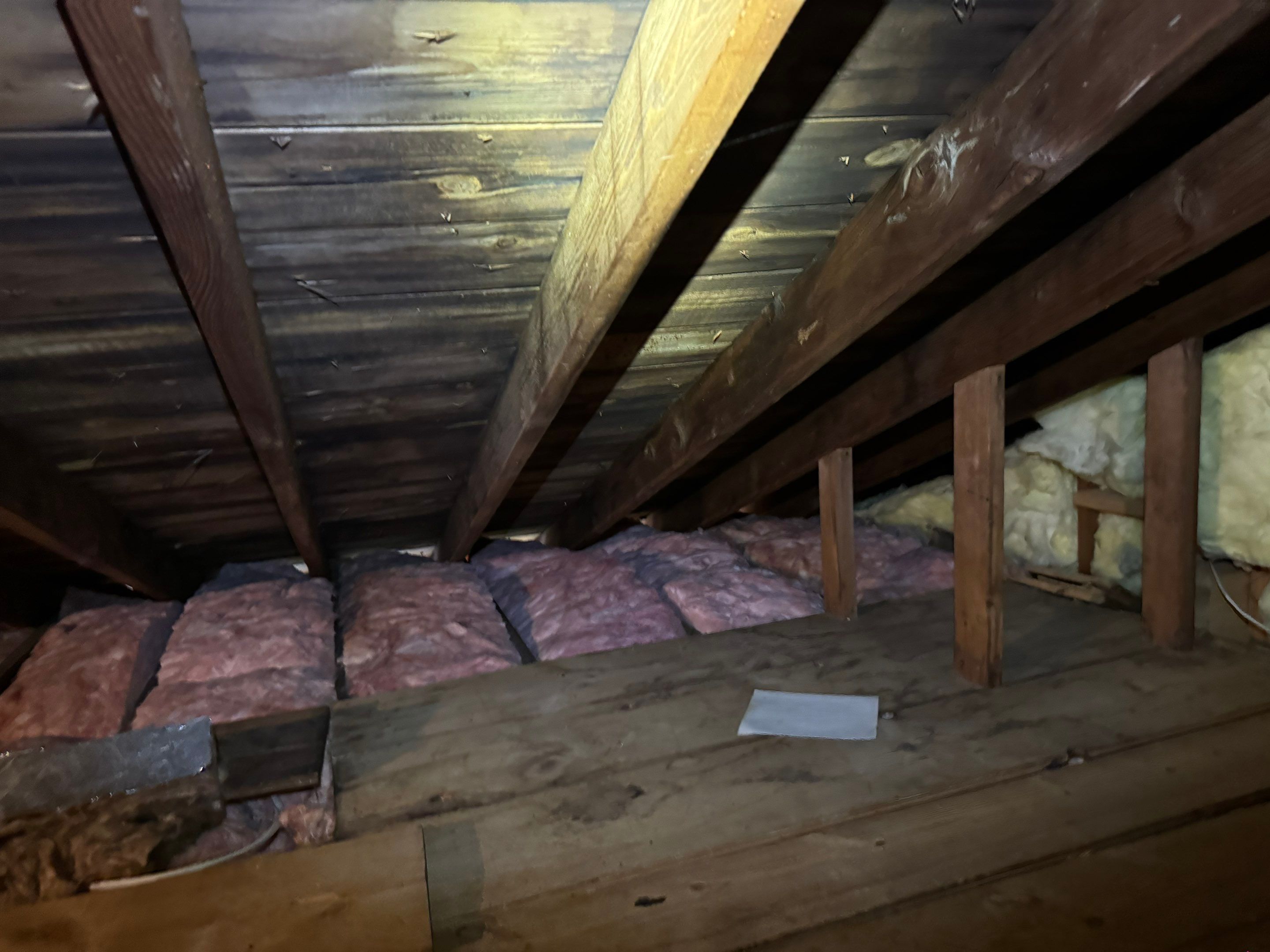 Attic & Sunroom Mold Remediation by Home Guarantee, LLC