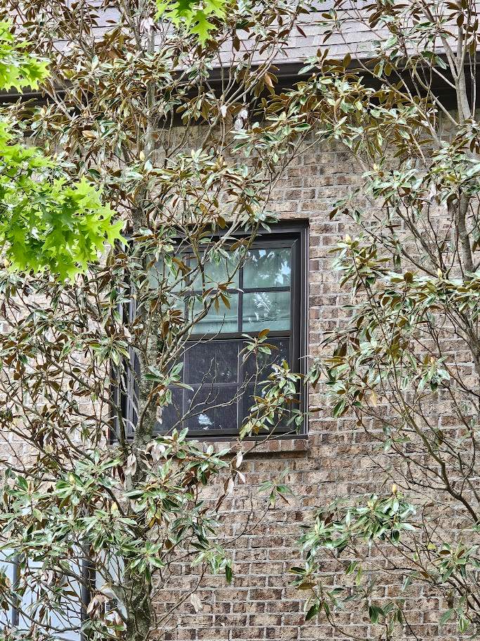 Rosenthal Project in Hoover  by The Window Source