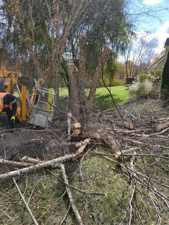 Tree Removal using Tree Removal by Mike Jones & Sons Tree Service LLC 