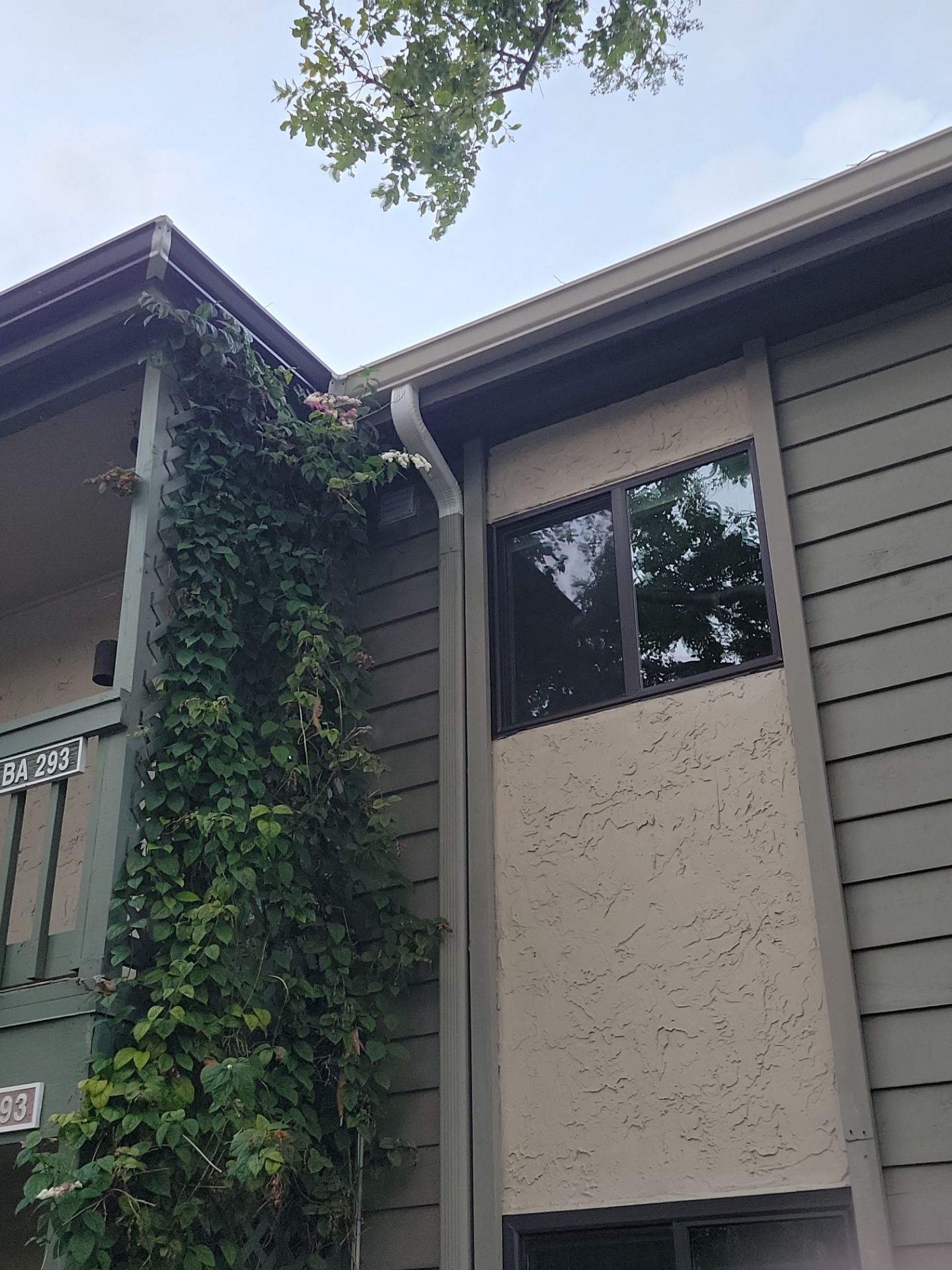White Gutters Repair and Installation in Sarasota FL by Gutter Professors