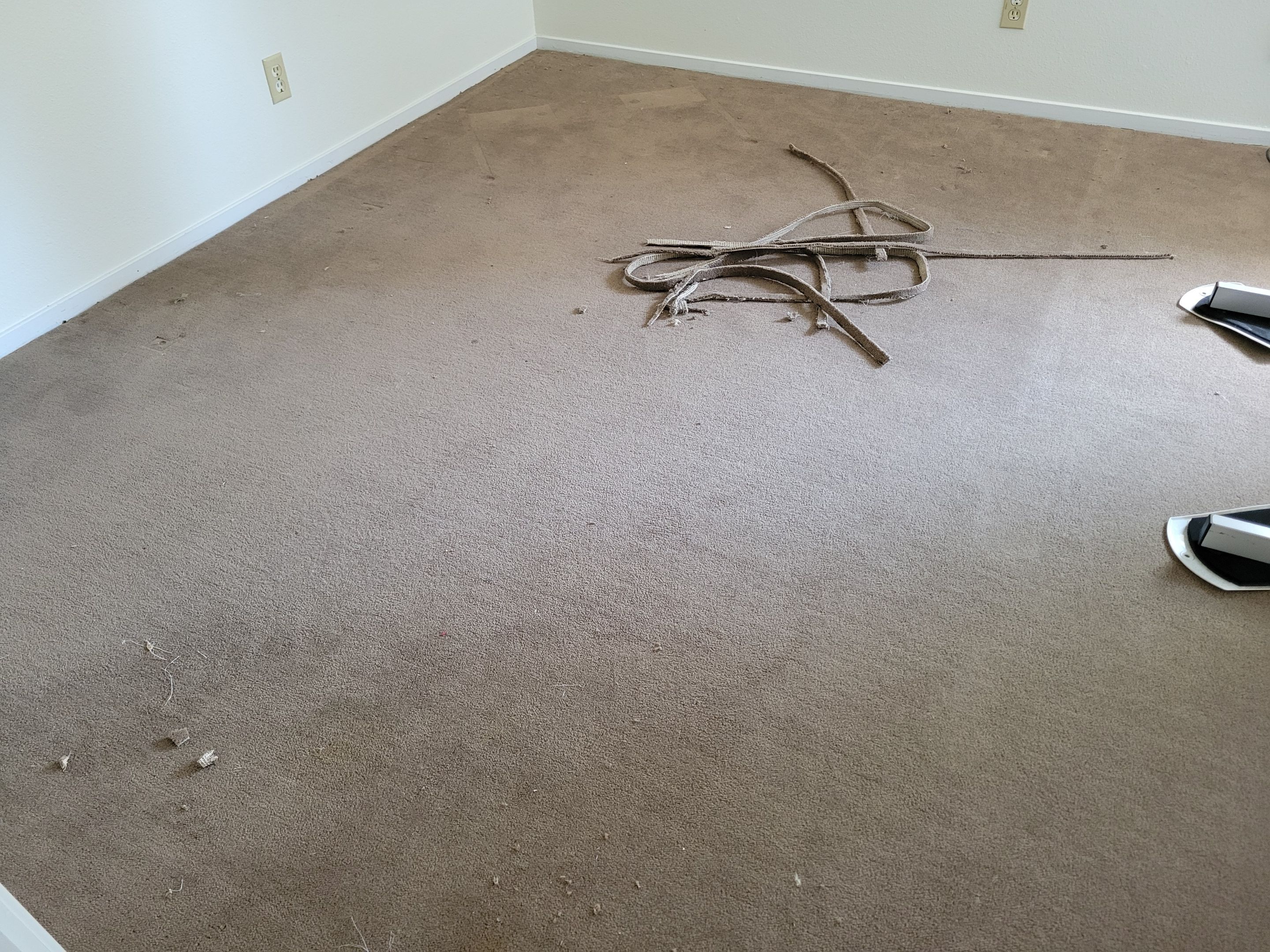Carpet Re-stretching and Cleaning by Ardent Carpet Restore LLC