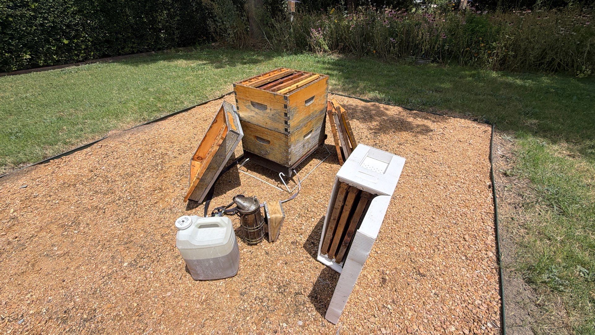 Apartment Retreat for Honey Bees in Garland by Rockwall Honey Bee Company