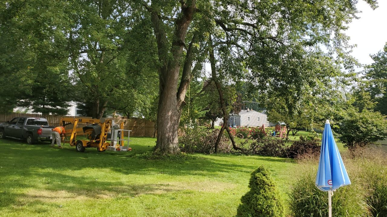 Tree Removal by Mike Jones & Sons Tree Service LLC 