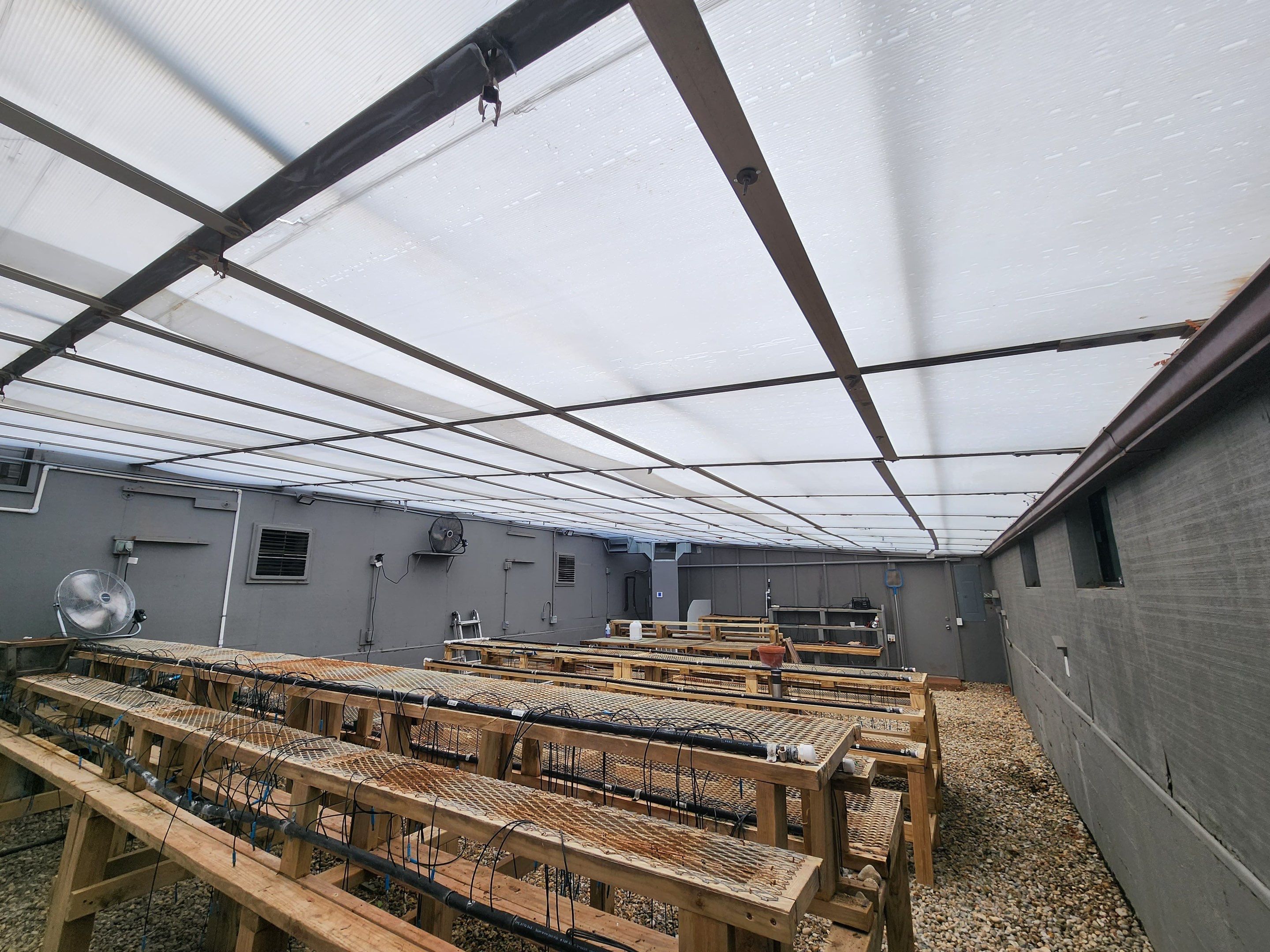Greenhouse Roof Replacement and Structural Framing Repair in Centerville by Level Up Roofing and Restoration Services LLC